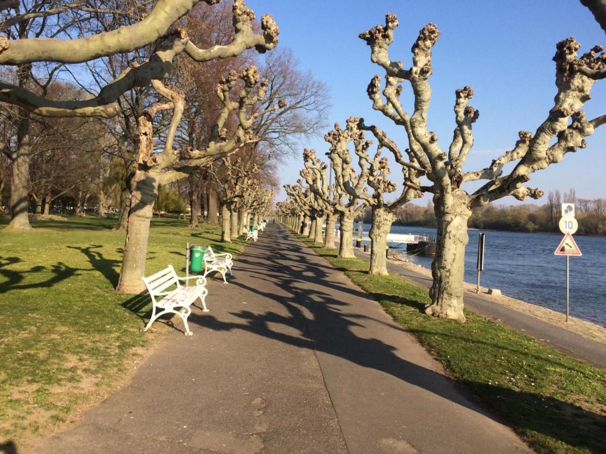 Hotel Krone Ruedesheim Rüdesheim am Rhein Exteriör bild