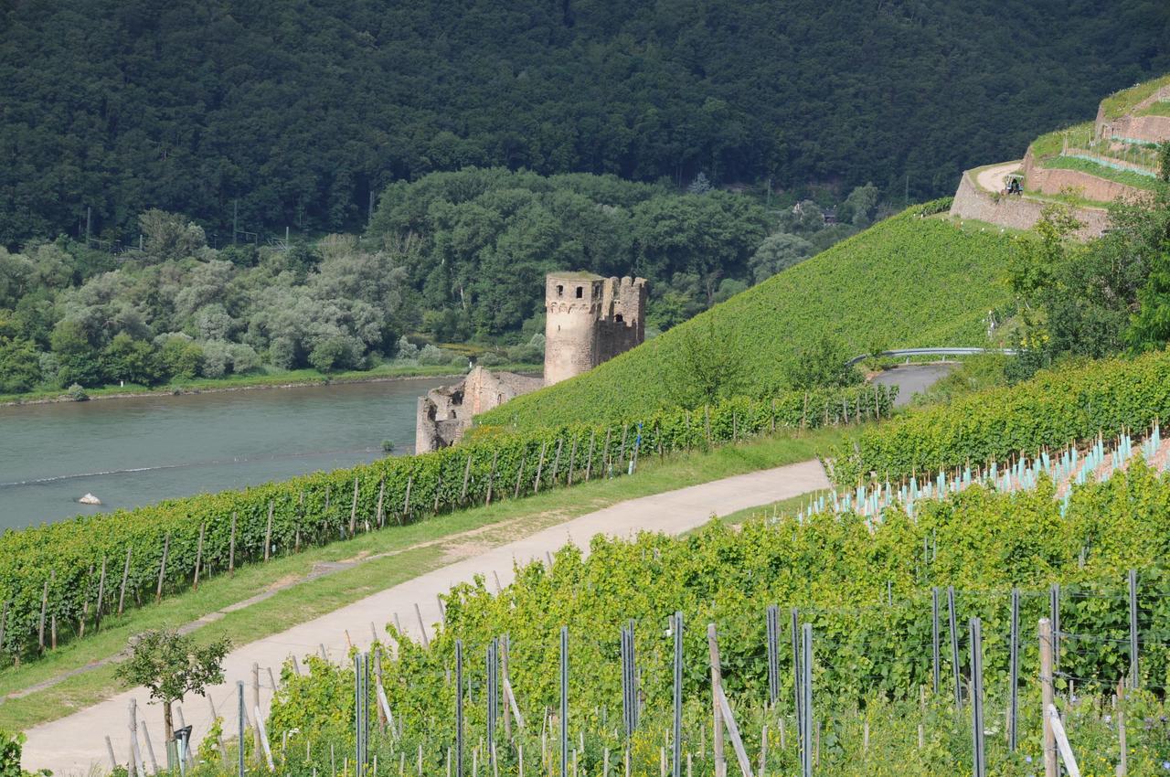 Hotel Krone Ruedesheim Rüdesheim am Rhein Exteriör bild